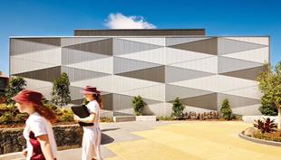 The result is a geometric camouflage effect that animates what might otherwise have been a lacklustre shed